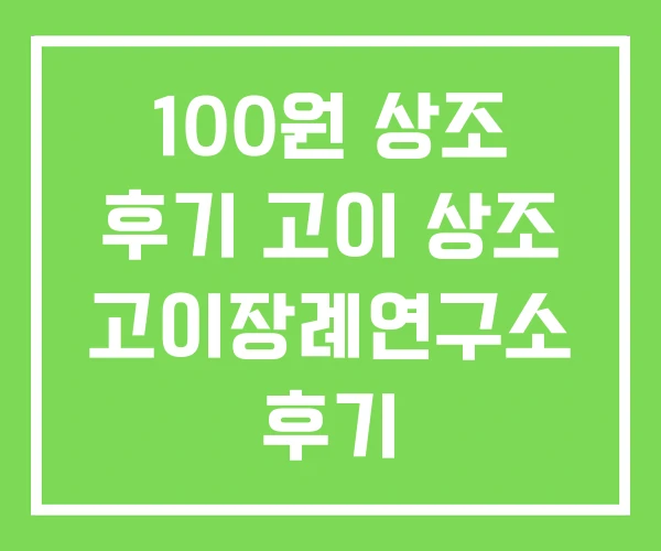 100원 상조 후기 고이 상조 고이장례연구소 후기