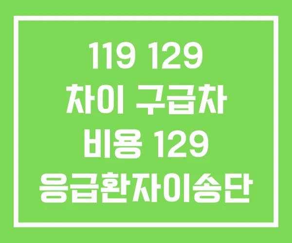 119 129 차이 구급차 비용 129 응급환자이송단