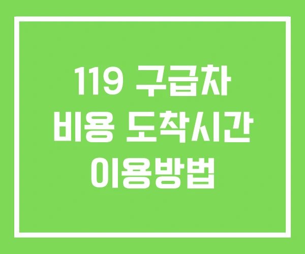 119 구급차 비용 도착시간 이용방법 119 구급차 비용 도착시간 이용방법