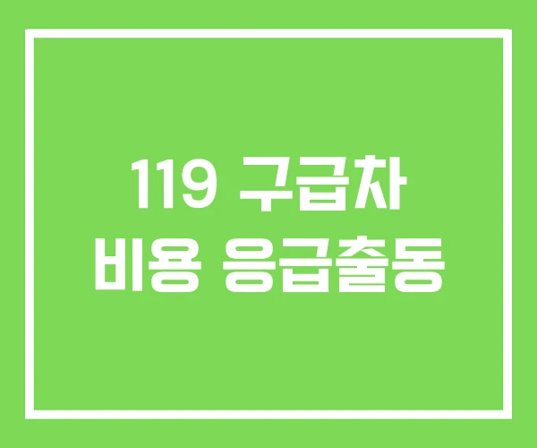 119 구급차 비용 응급출동 119 구급차 비용 응급출동