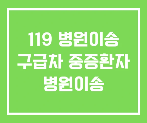 119 병원이송 구급차 중증환자 병원이송 119 병원이송 구급차 중증환자 병원이송