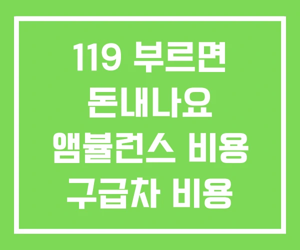 119 부르면 돈내나요 앰뷸런스 비용 구급차 비용 지원 119 부르면 돈내나요 앰뷸런스 비용 구급차 비용 지원
