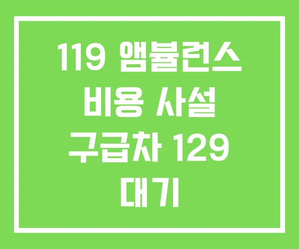119 앰뷸런스 비용 사설 구급차 129 대기 119 앰뷸런스 비용 사설 구급차 129 대기