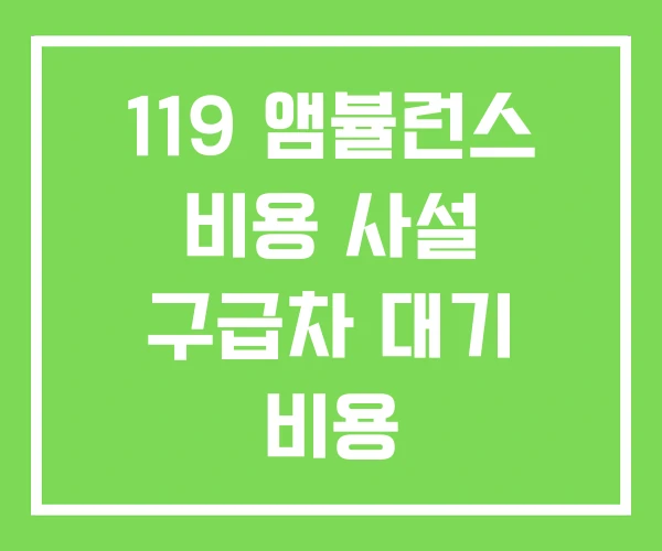 119 앰뷸런스 비용 사설 구급차 대기 비용 119 앰뷸런스 비용 사설 구급차 대기 비용