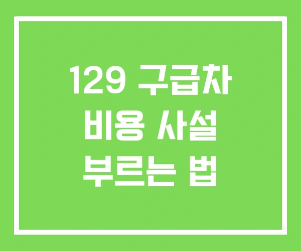 129 구급차 비용 사설 부르는 법