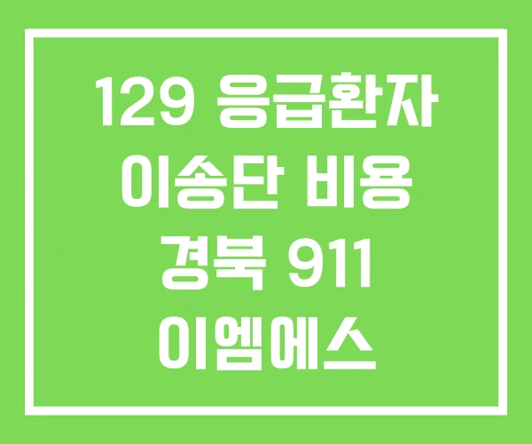 129 응급환자 이송단 비용 경북 911 이엠에스 129 응급환자 이송단 비용 경북 911 이엠에스