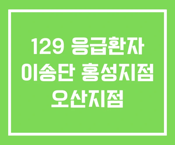 129 응급환자 이송단 홍성지점 오산지점