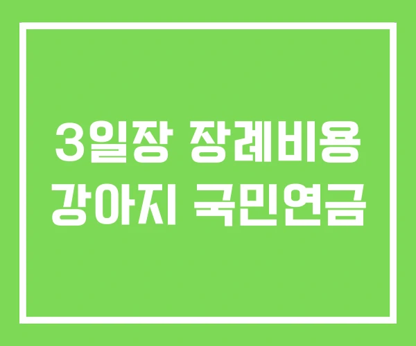 3일장 장례비용 강아지 국민연금 3일장 장례비용 강아지 국민연금