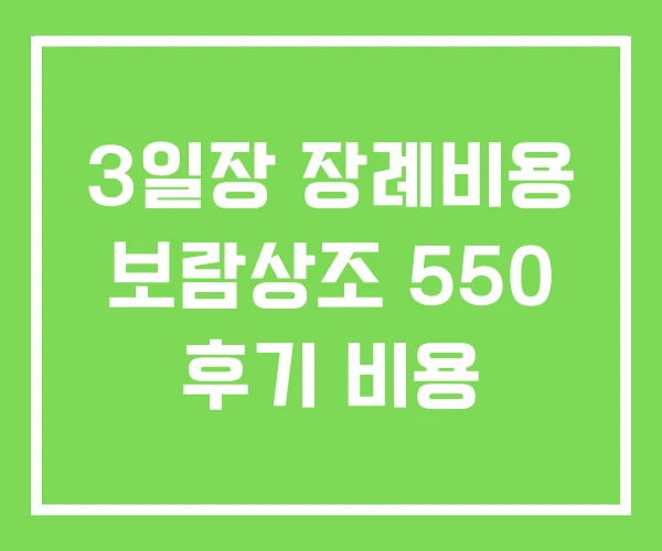 3일장 장례비용 보람상조 550 후기 비용 3일장 장례비용 보람상조 550 후기 비용