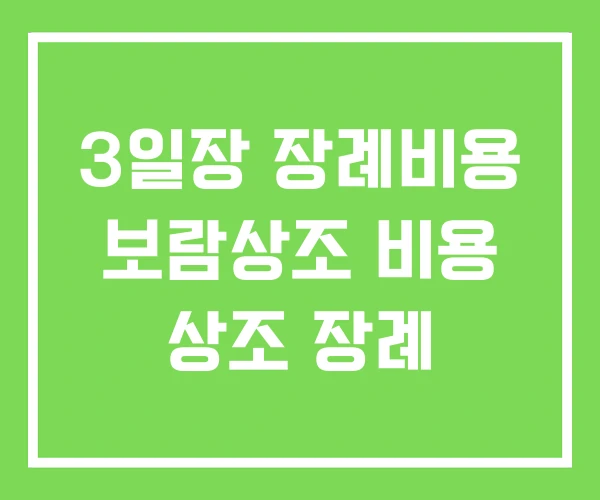 3일장 장례비용 보람상조 비용 상조 장례