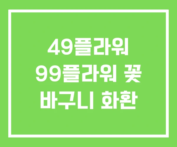 49플라워 99플라워 꽃 바구니 화환 49플라워 99플라워 꽃 바구니 화환