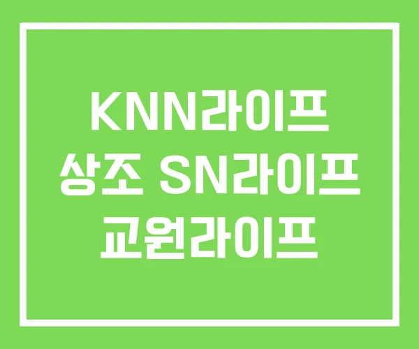 KNN라이프 상조 SN라이프 교원라이프