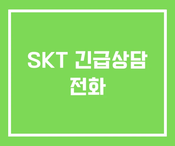 SKT 긴급상담 전화 SKT 긴급상담 전화