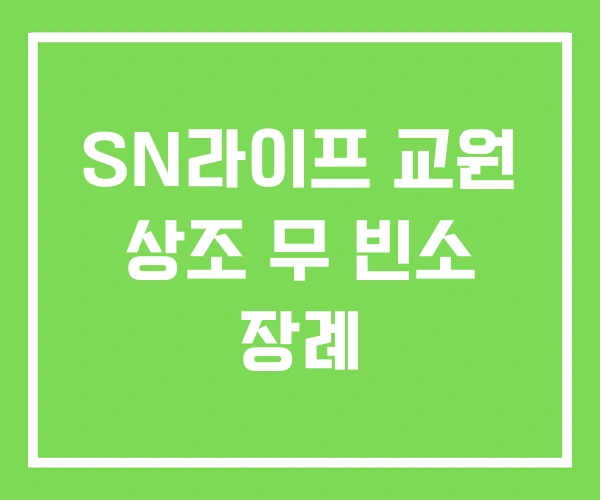 SN라이프 교원 상조 무 빈소 장례