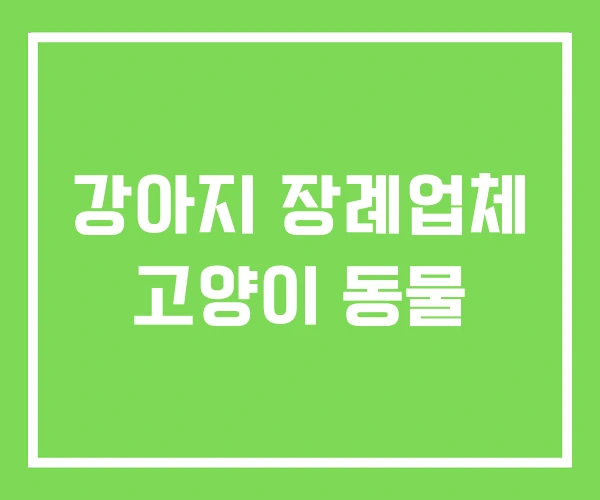 강아지 장례업체 고양이 동물 강아지 장례업체 고양이 동물
