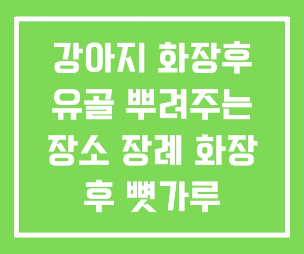 강아지 화장후 유골 뿌려주는 장소 장례 화장 후 뼛가루