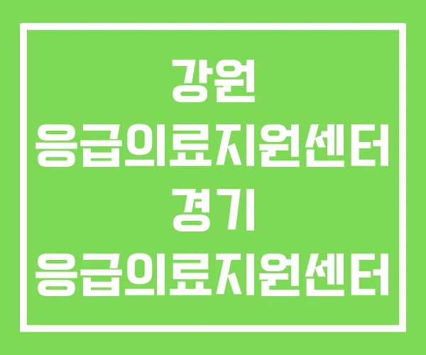 강원 응급의료지원센터 경기 응급의료지원센터 국립중앙의료원 강원 응급의료지원센터 경기 응급의료지원센터 국립중앙의료원