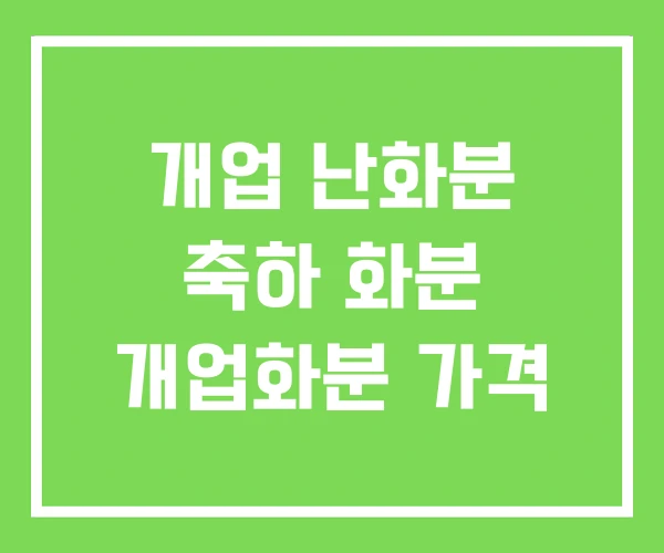 개업 난화분 축하 화분 개업화분 가격