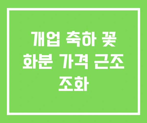 개업 축하 꽃 화분 가격 근조 조화 개업 축하 꽃 화분 가격 근조 조화