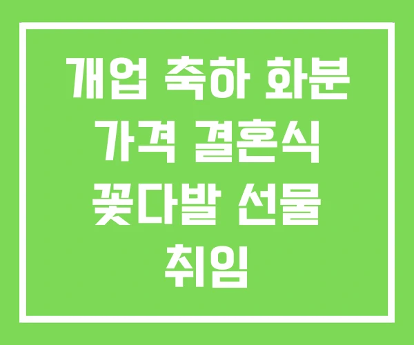 개업 축하 화분 가격 결혼식 꽃다발 선물 취임 개업 축하 화분 가격 결혼식 꽃다발 선물 취임