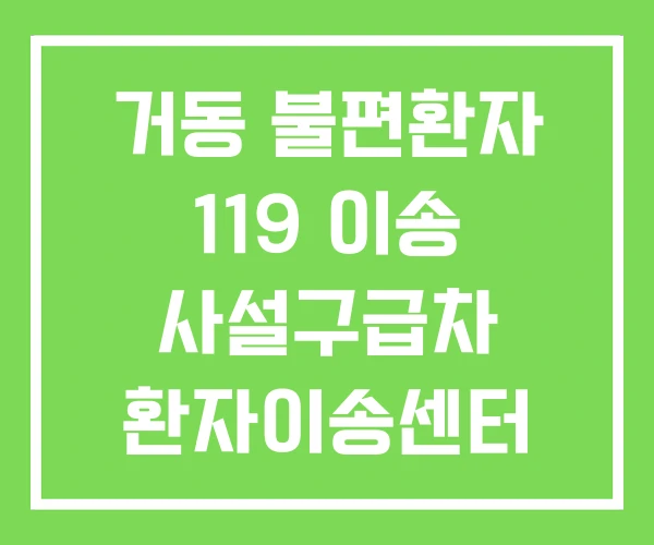 거동 불편환자 119 이송 사설구급차 환자이송센터
