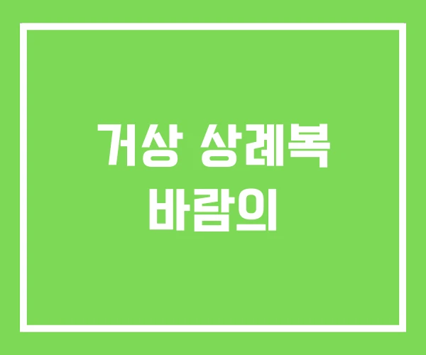 거상 상례복 바람의