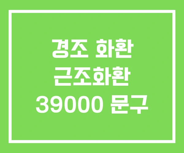 경조 화환 근조화환 39000 문구