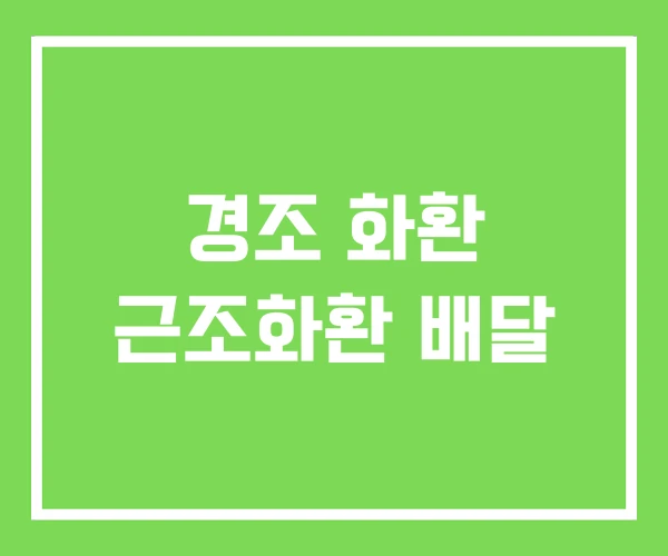 경조 화환 근조화환 배달 경조 화환 근조화환 배달