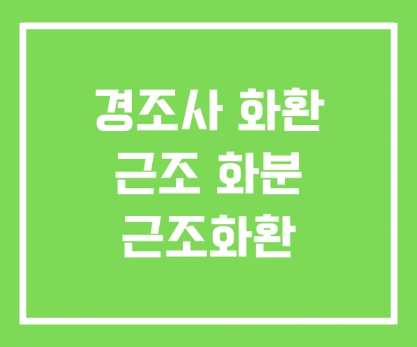 경조사 화환 근조 화분 근조화환 경조사 화환 근조 화분 근조화환