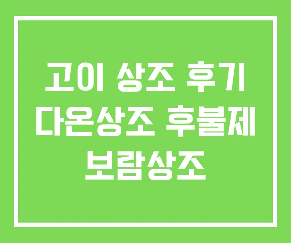 고이 상조 후기 다온상조 후불제 보람상조 고이 상조 후기 다온상조 후불제 보람상조