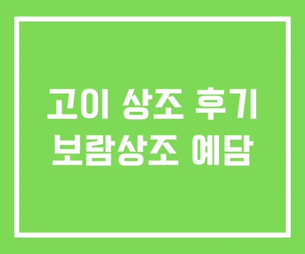 고이 상조 후기 보람상조 예담 고이 상조 후기 보람상조 예담