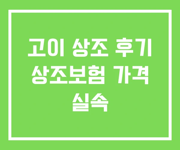 고이 상조 후기 상조보험 가격 실속 고이 상조 후기 상조보험 가격 실속