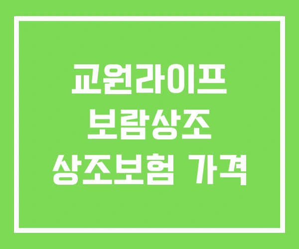 교원라이프 보람상조 상조보험 가격 교원라이프 보람상조 상조보험 가격