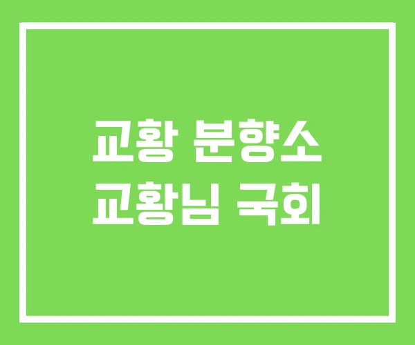 교황 분향소 교황님 국회