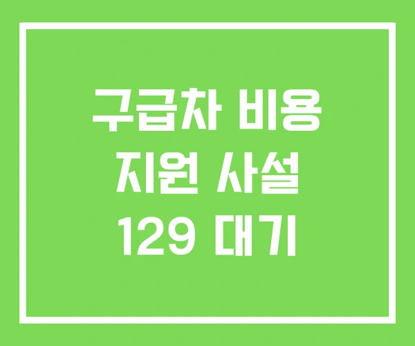 구급차 비용 지원 사설 129 대기 구급차 비용 지원 사설 129 대기