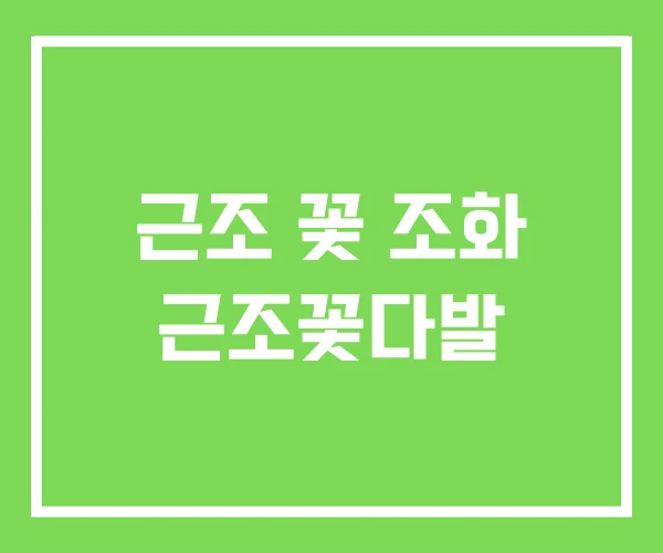 근조 꽃 조화 근조꽃다발