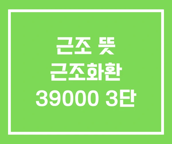 근조 뜻 근조화환 39000 3단