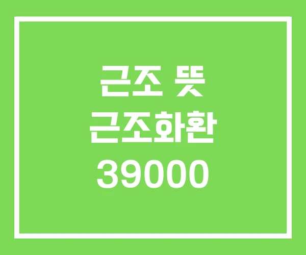 근조 뜻 근조화환 39000 근조 뜻 근조화환 39000