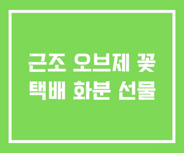 근조 오브제 꽃 택배 화분 선물 근조 오브제 꽃 택배 화분 선물