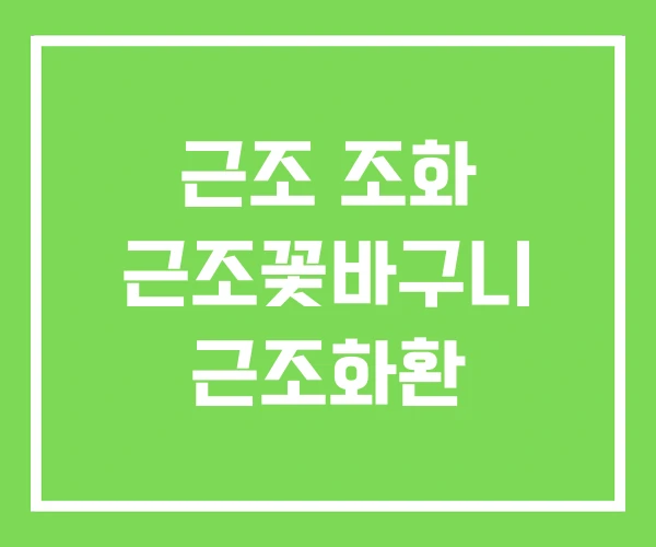 근조 조화 근조꽃바구니 근조화환 근조 조화 근조꽃바구니 근조화환