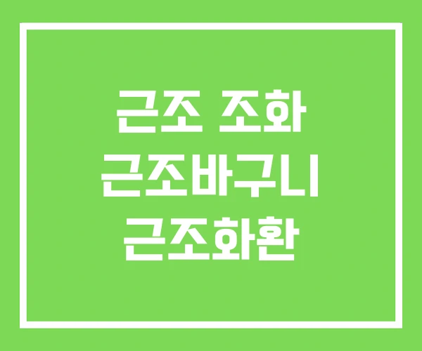 근조 조화 근조바구니 근조화환 근조 조화 근조바구니 근조화환