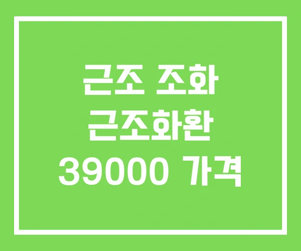근조 조화 근조화환 39000 가격 근조 조화 근조화환 39000 가격