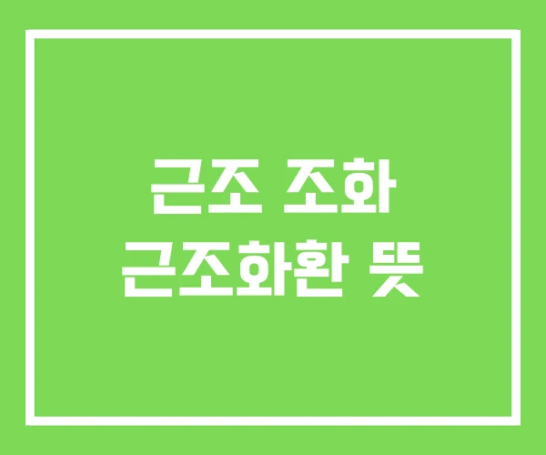 근조 조화 근조화환 뜻