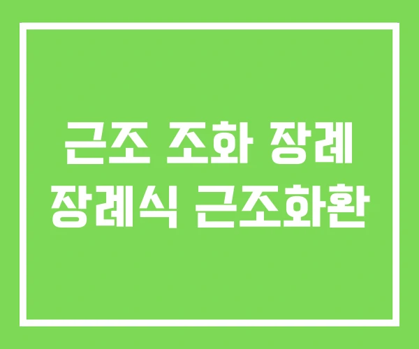 근조 조화 장례 장례식 근조화환