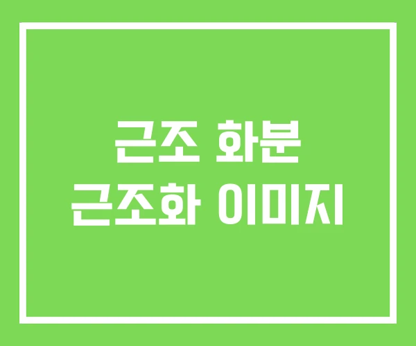 근조 화분 근조화 이미지 근조 화분 근조화 이미지