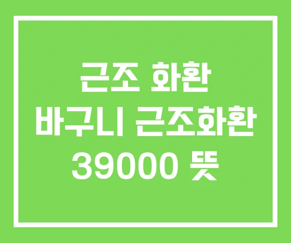 근조 화환 바구니 근조화환 39000 뜻 근조 화환 바구니 근조화환 39000 뜻