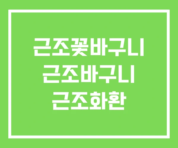 근조꽃바구니 근조바구니 근조화환 근조꽃바구니 근조바구니 근조화환
