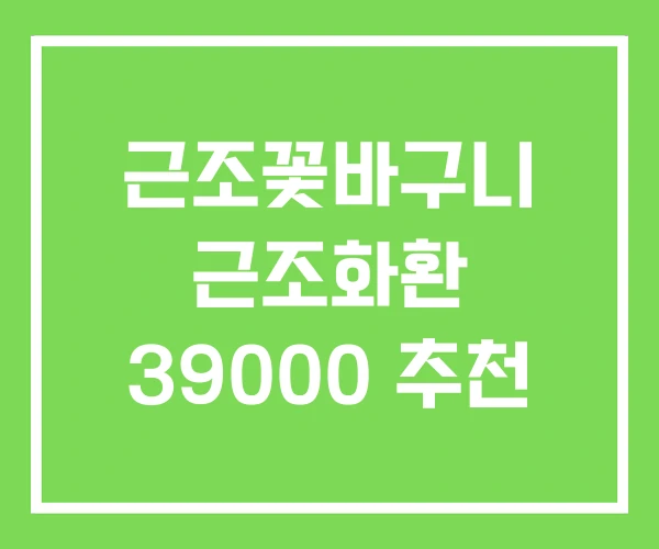 근조꽃바구니 근조화환 39000 추천 근조꽃바구니 근조화환 39000 추천