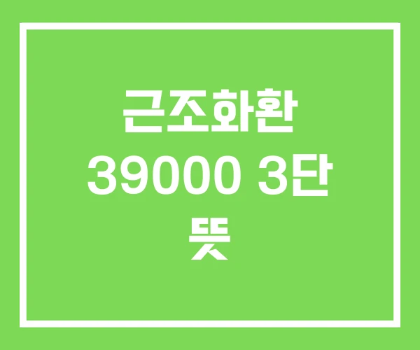 근조화환 39000 3단 뜻