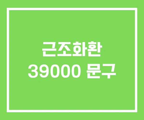 근조화환 39000 문구 근조화환 39000 문구